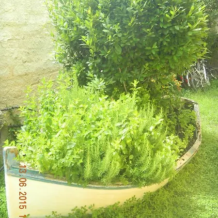 Valentino's Bed & Breakfast *